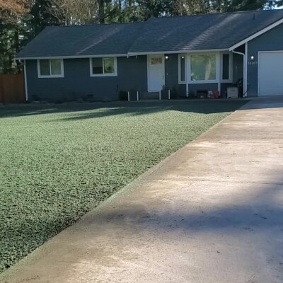 Freshly hydroseeded lawn in front of a residential home.