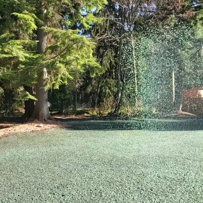 Freshly hydroseeded lawn with trees in Washington state.