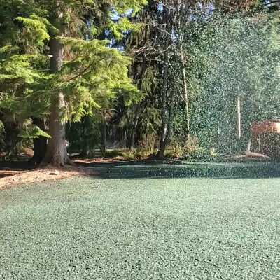 Hydroseeding process on lawn with trees in Washington State.