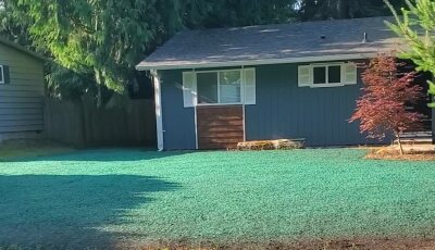 Freshly hydroseeded lawn in front of a Washington house.