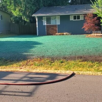 Freshly hydroseeded lawn in front of a Washington house.