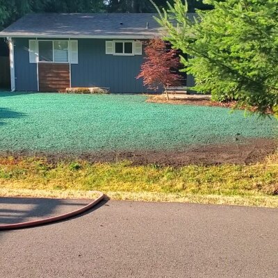 Freshly hydroseeded lawn, Washington hydroseed company, residential setting.