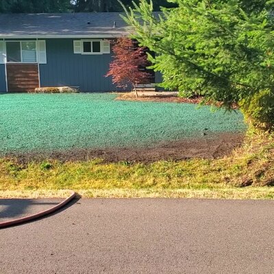 Freshly hydroseeded lawn in front of a house.