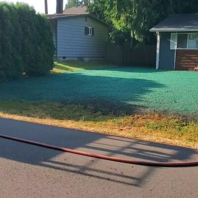 Freshly hydroseeded lawn at a residential home in Washington State.