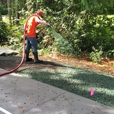 Worker applying hydroseed mixture on lawn in Washington State.