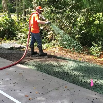 Worker applying hydroseed mixture on lawn in Washington State.