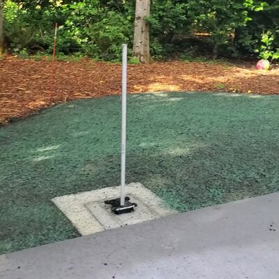 Freshly hydroseeded lawn with visible mulch near trees in Washington State.