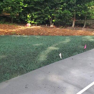 Freshly hydroseeded lawn by sidewalk with markers in Washington state.