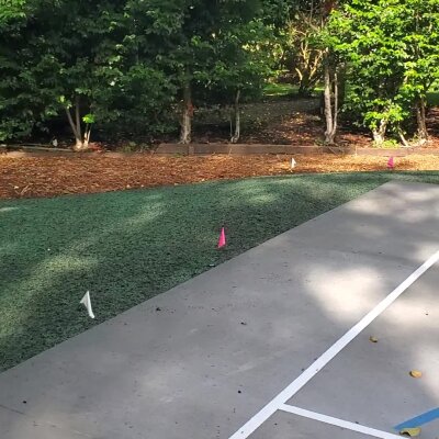 Freshly hydroseeded lawn beside concrete path with markers.